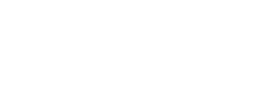 CBSI